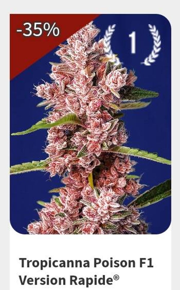 Tropicana poison F1