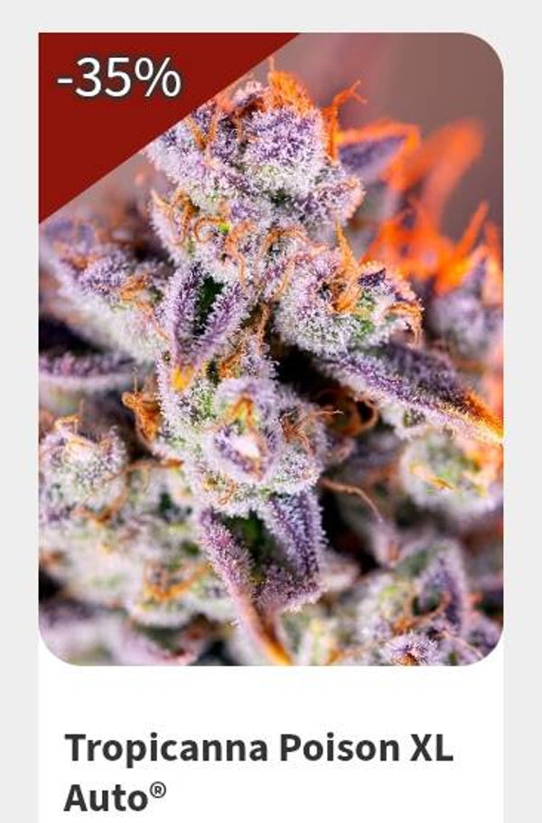 Tropicana poison XL