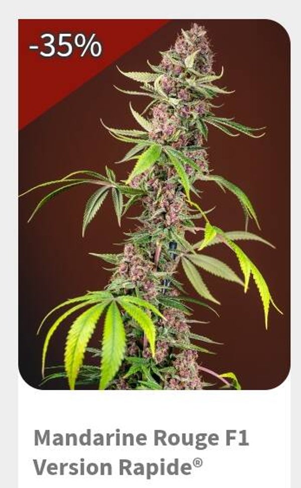 Mandarine rouge