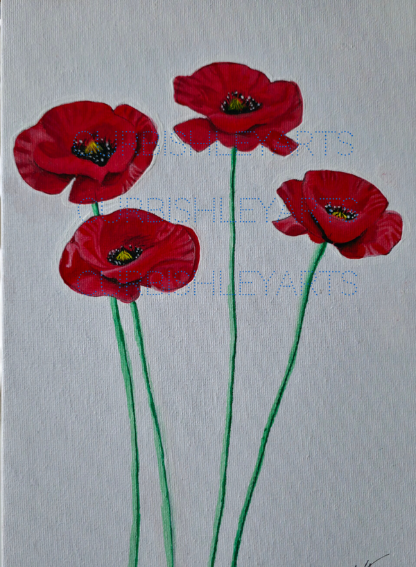 Poppies for the fallen