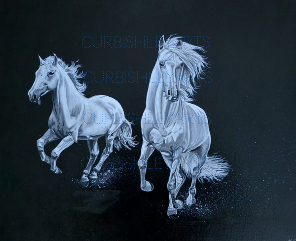 Wild horses