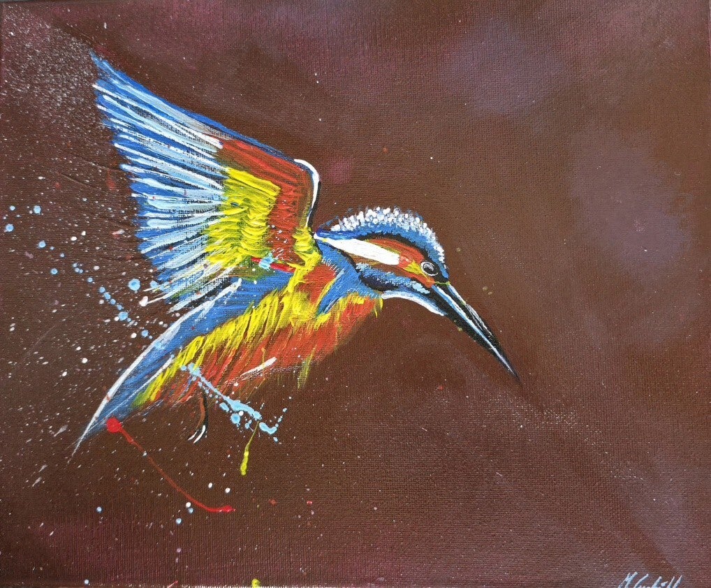 Saturdays kingfisher
