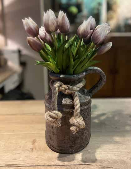 Minitulpen purple grey