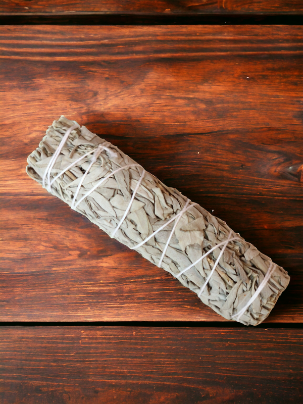 Sauge Blanche Californie 15cm 60-80g