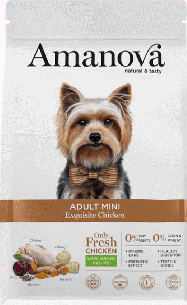 Adult mini Exquisite chicken