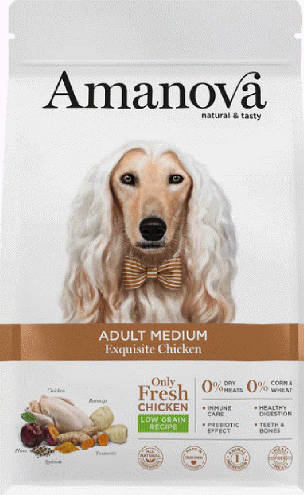 Adult medium Exquisite chicken