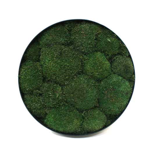 Mosschilderij Bubbly