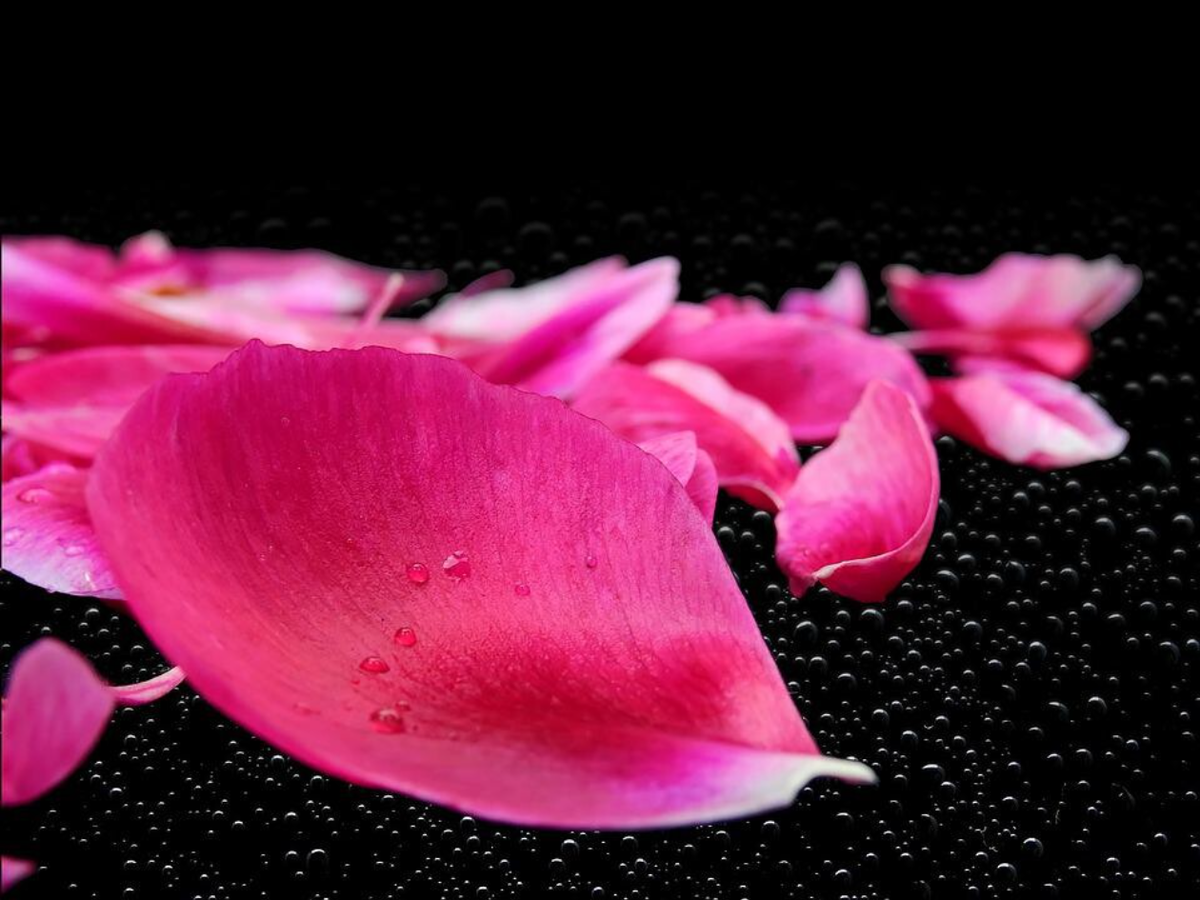 erotische-massage.jouwweb.nl