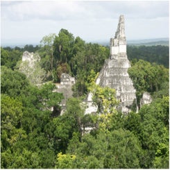 ruines-tikal-standard.jpg
