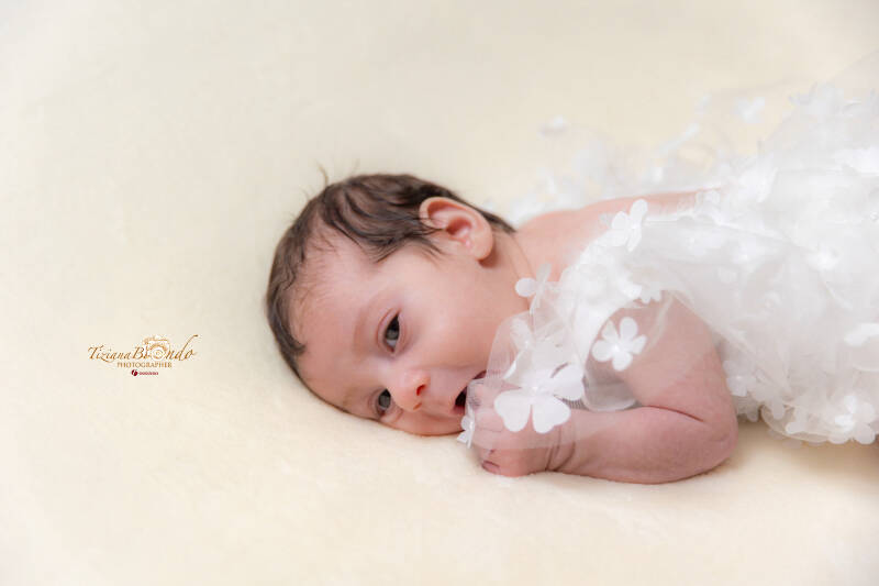1d94c12c-b10a-4434-81f7-f51788cdb530-standard.jpg