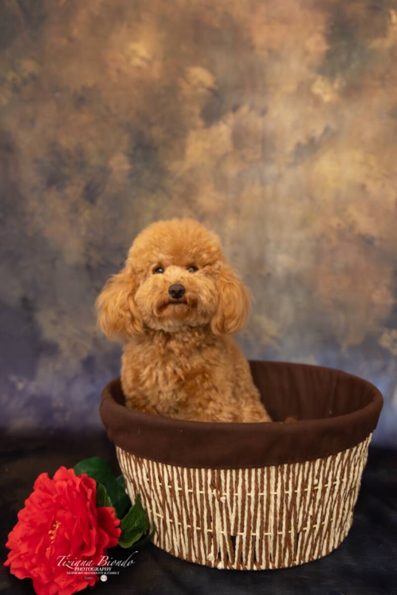img_0324-standard.jpg
