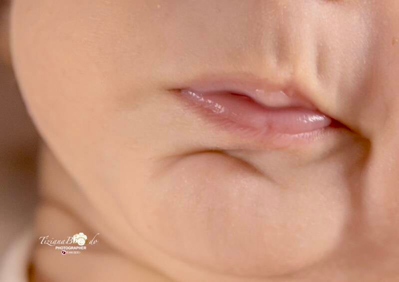 img_9317-standard.jpg