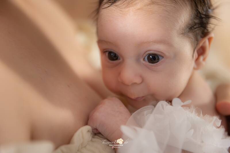 img_9424-standard.jpg