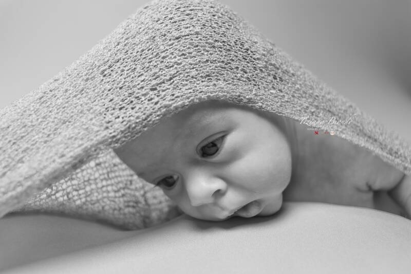 img_9805-standard.jpg