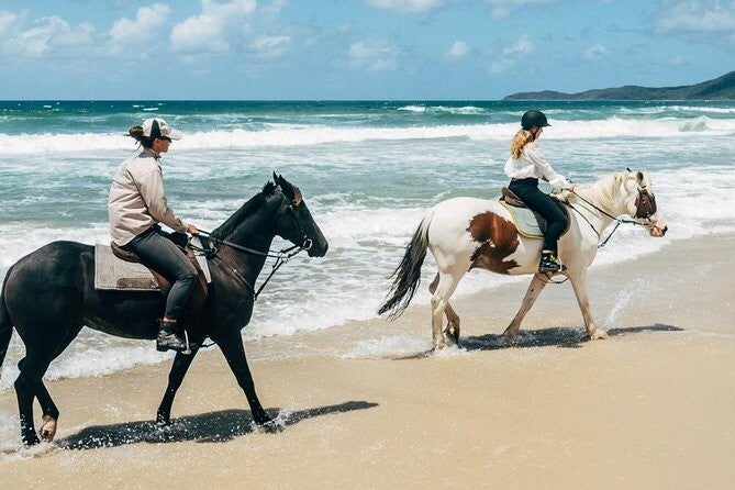 Horse on the Beach / Start time: 8:30 a.m. / Start time: 11:30 a.m. / Start time: 2:30 p.m.