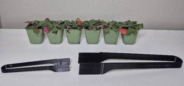 Planttång