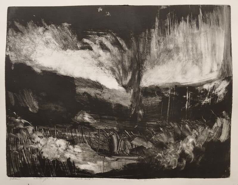 "World not doing very well". Monotype 42 x 50 cm. 