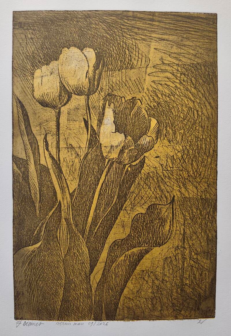 Tulips, soft ground etching 30 x 20 cm., sept 2026