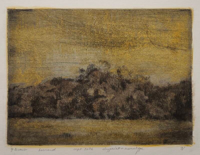 Golden landscape, drypoint and monotype on conqueror vergé 300 grs. 14,5 x 20 cm. 2026.