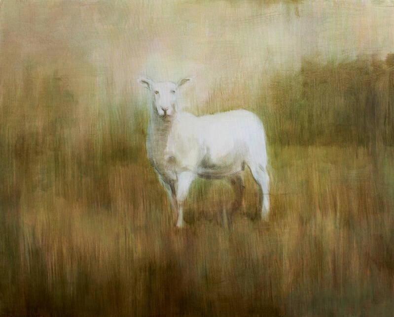 lamb, oil on canvas 