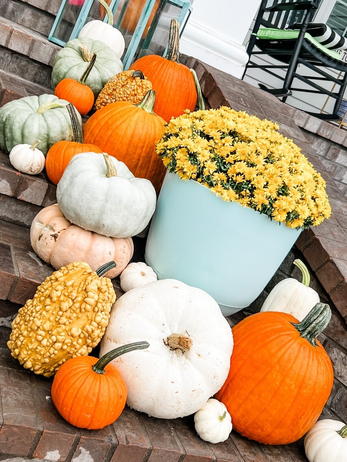 Package #5 The Beauty