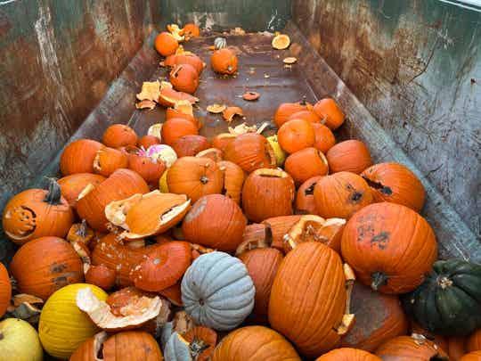 End of Season Removal and Disposal for Package #2