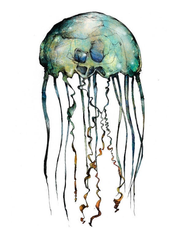 Jellyfish