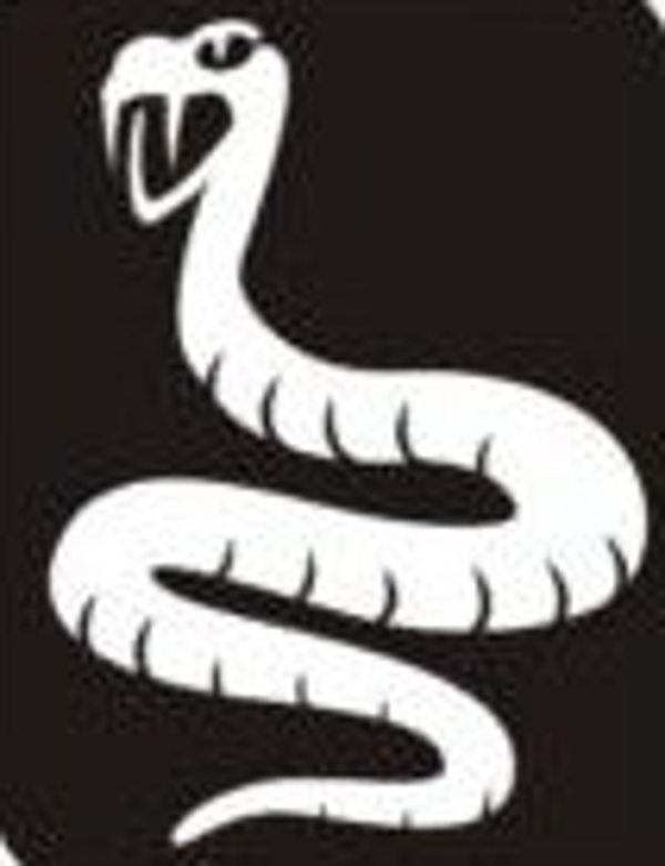 Snake stencils x25