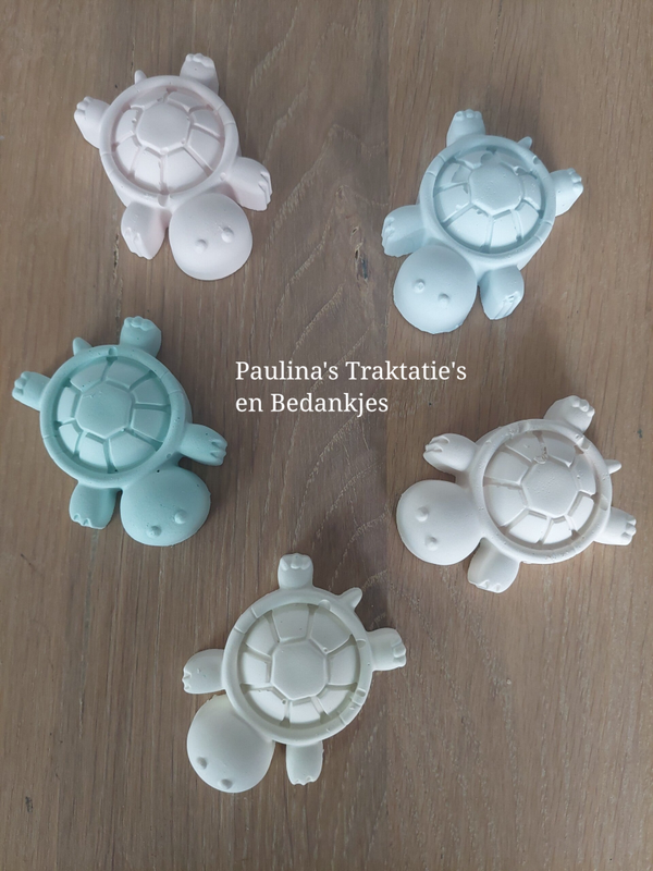 Kleine schildpadjes