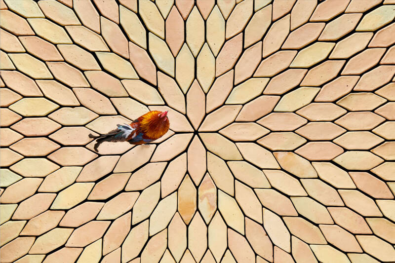 Tegels van klei / terracotta. Moderne tegels met historische charme, Prachtige kleurschakeringen en diverse vormen