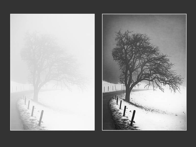 diptychon-baum-weg-website-standard.jpg