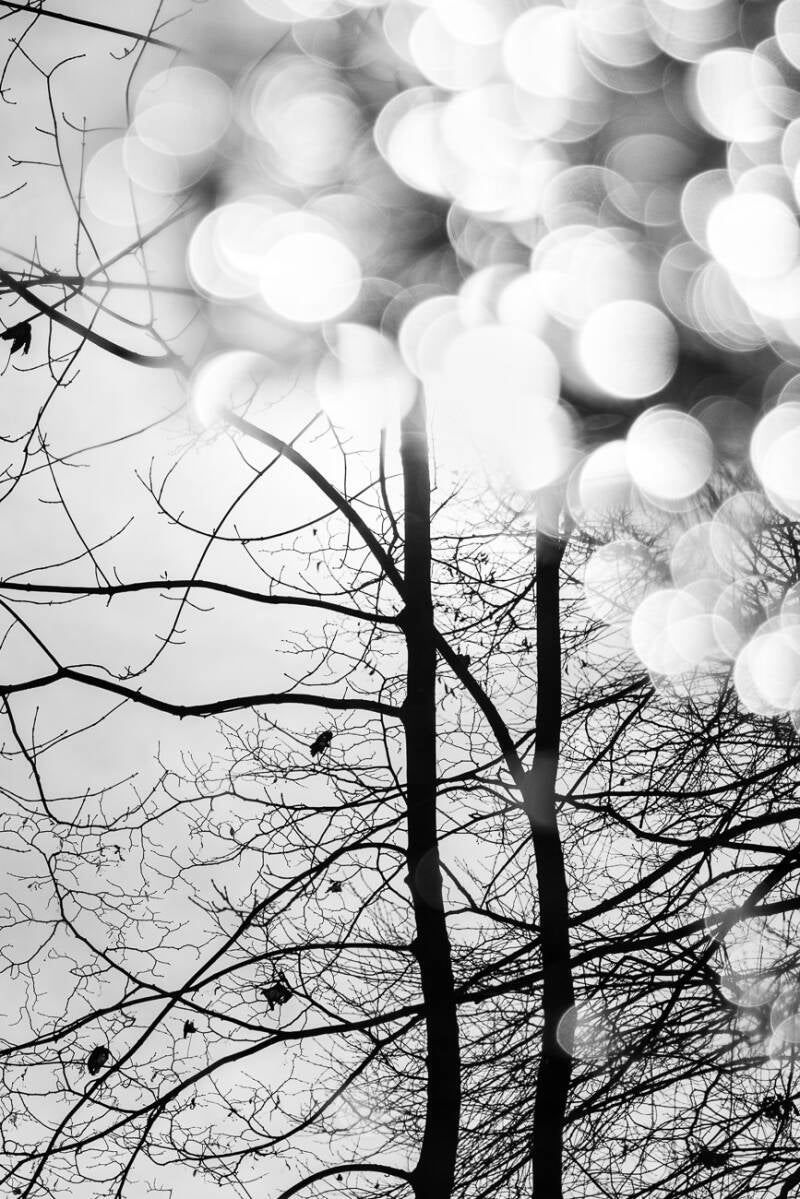 natur-15-standard.jpg