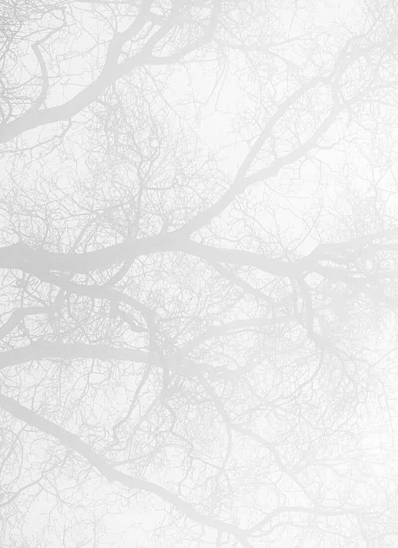 natur-2-standard.jpg