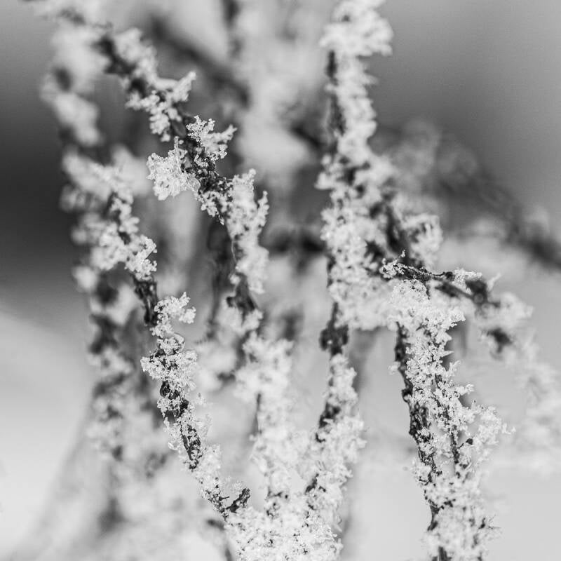 natur-7-standard.jpg