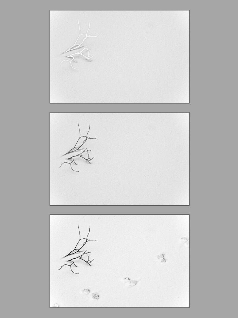 triptychon-blitz-ast-schnee-website-standard.jpg