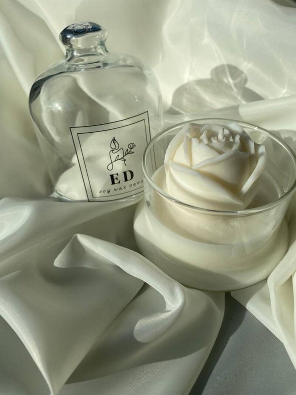 Roos in glas met stolp