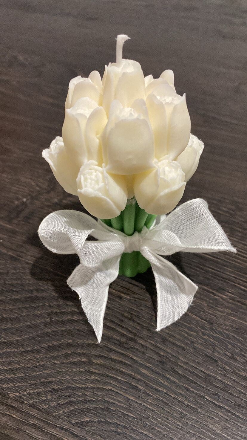 Tulp (10 stuks)