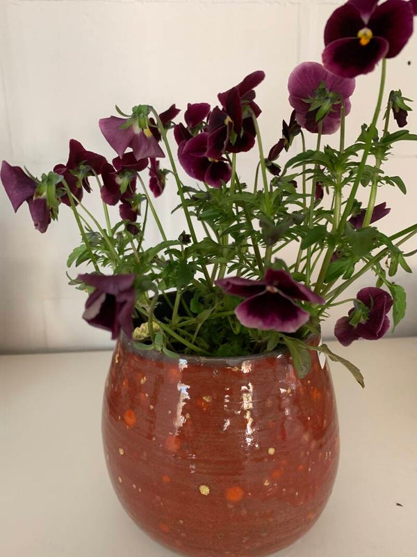 Vaas bl/zw - 000 108