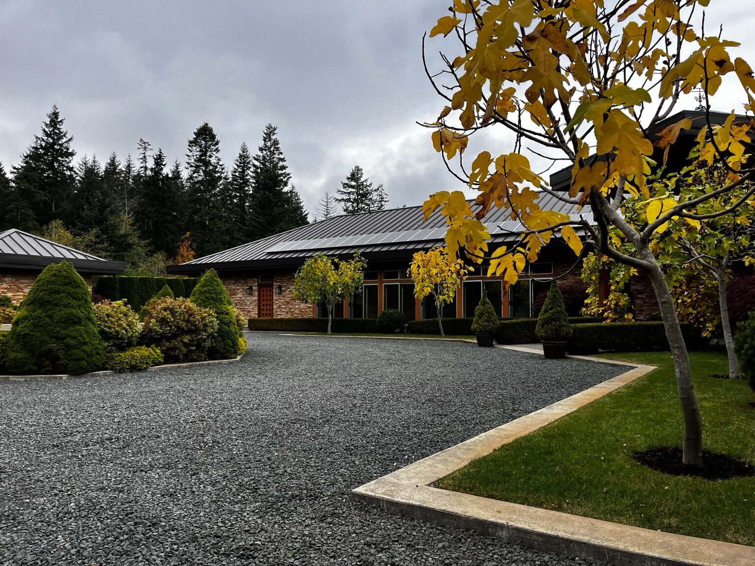 Gravel estate courtyard with defined lawn edges and sculpted evergreen shrubs