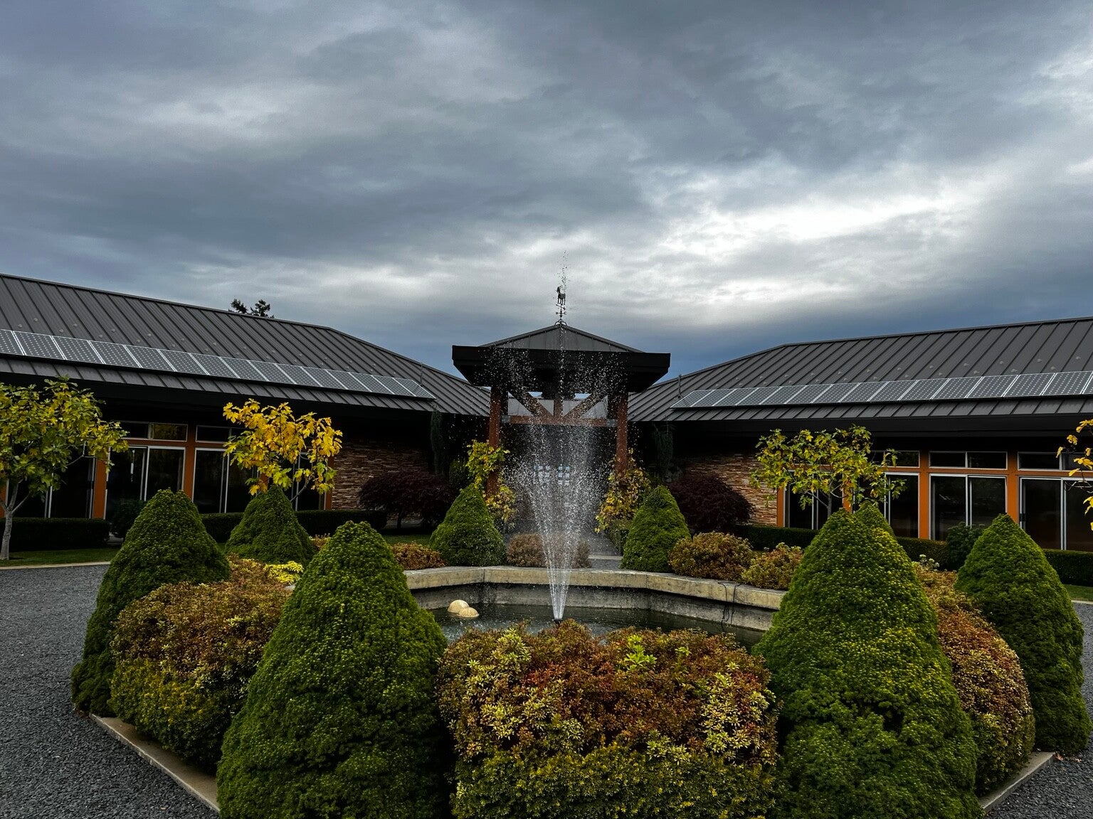 Courtyard fountain framed by clipped evergreen shrubs and ornamental garden planting