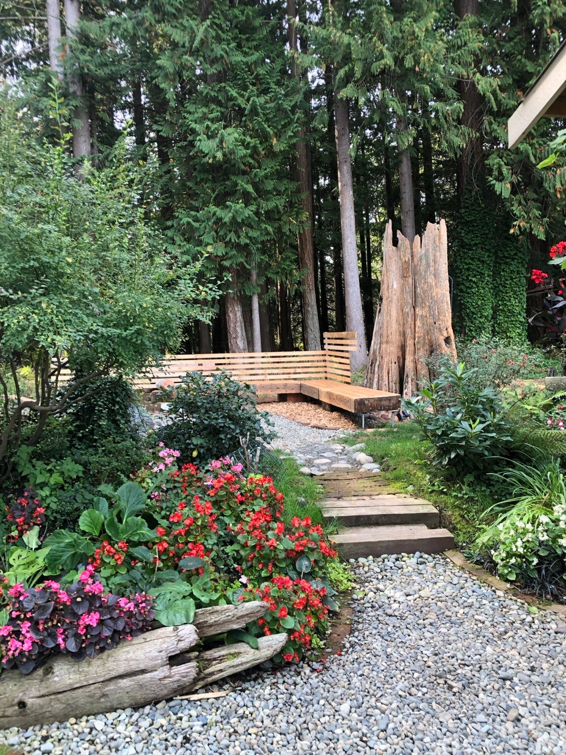 Woodland garden with flowering beds, gravel paths and timber seating