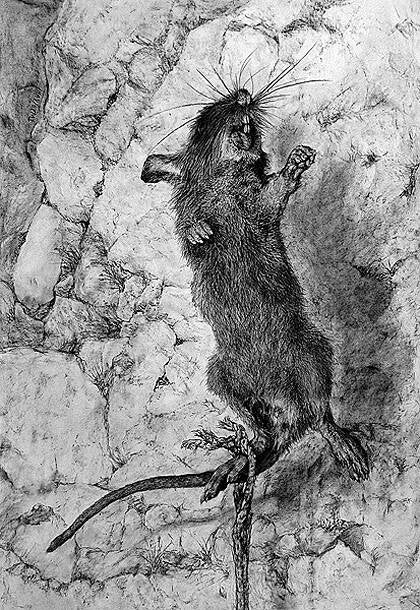 "Wilderness - II" B.70 cm x H.100 cm