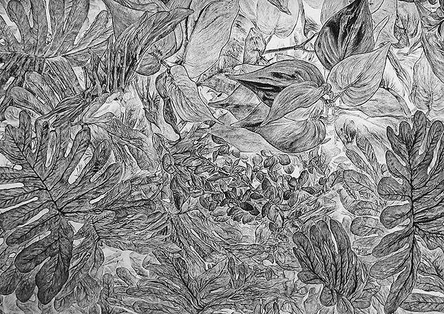 "Blattwerk" - als Negativ gezeichnet B.100 cm x H.70 cm