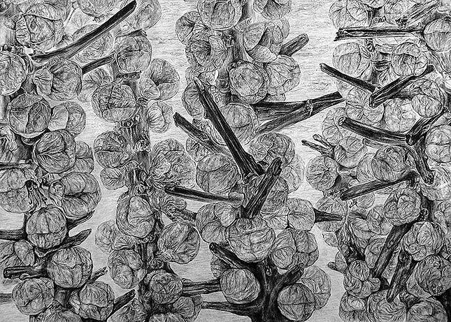 "Rosenkohl" B.100 cm x H.70 cm