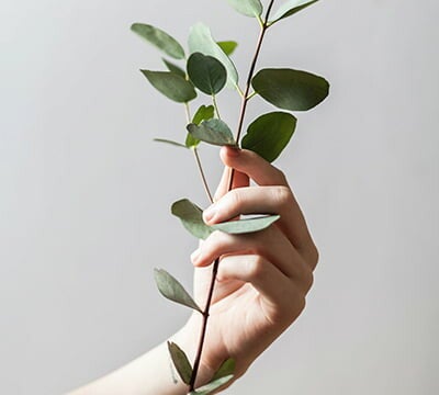 natuurlijke cosmetica