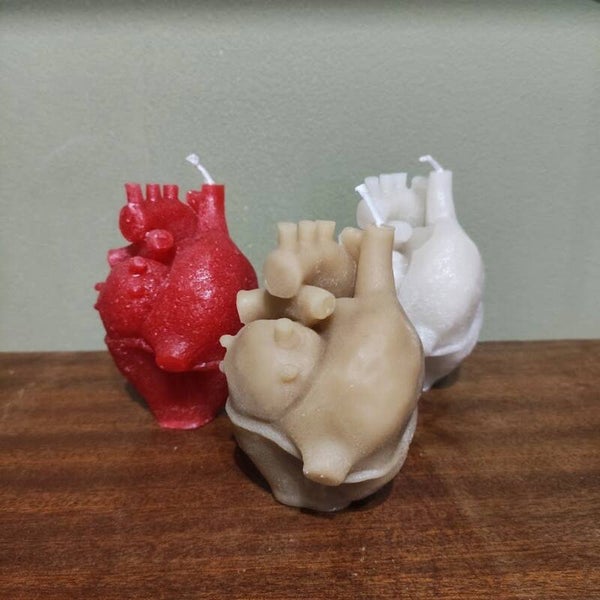 Anatomical Heart Ritual Candles