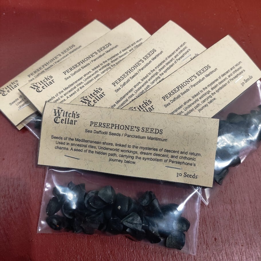 Persephone's Seeds - Sea Daffodil Seeds