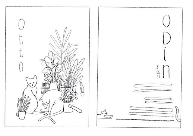 image5.jpeg