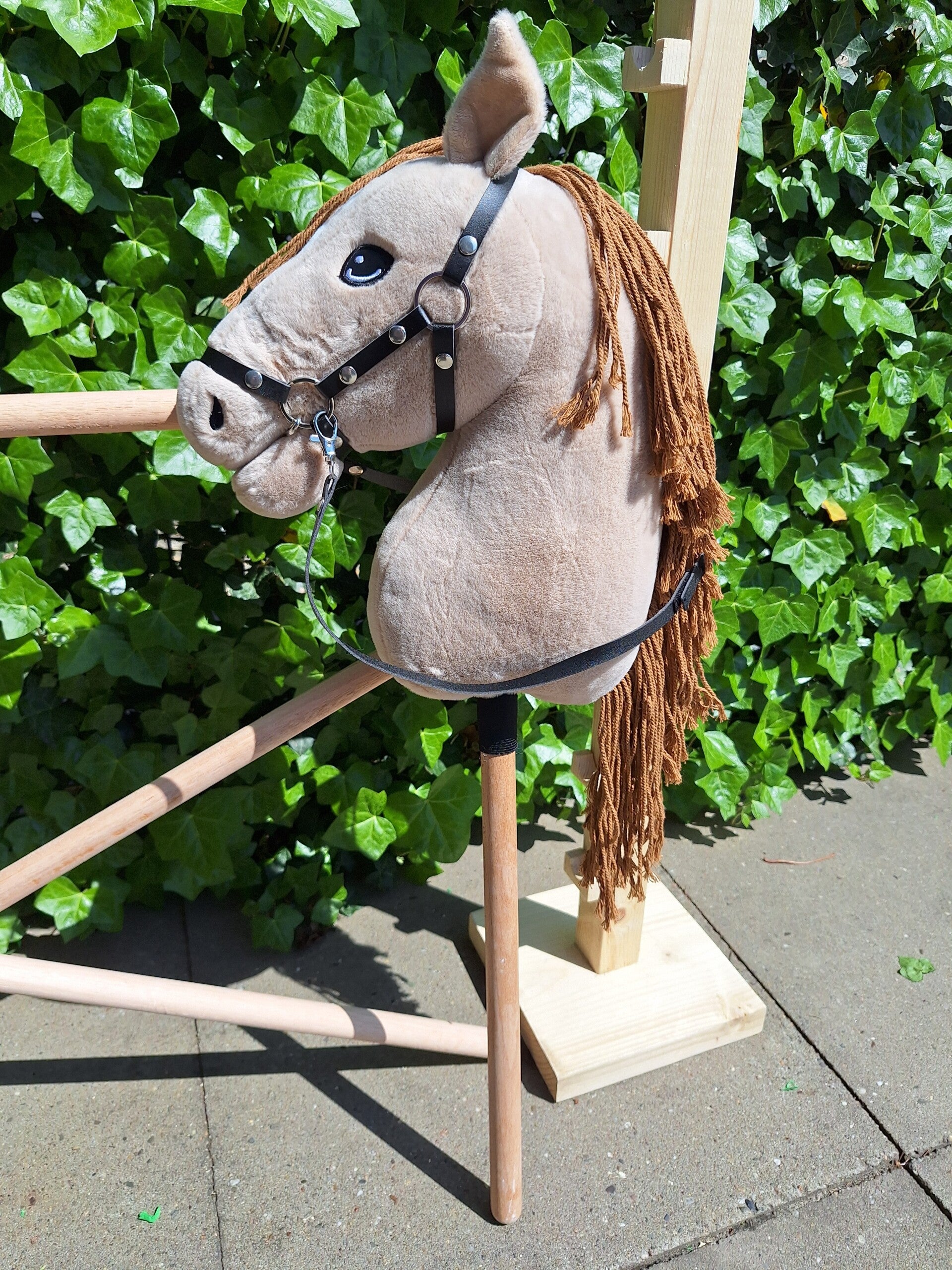 Hobby horse