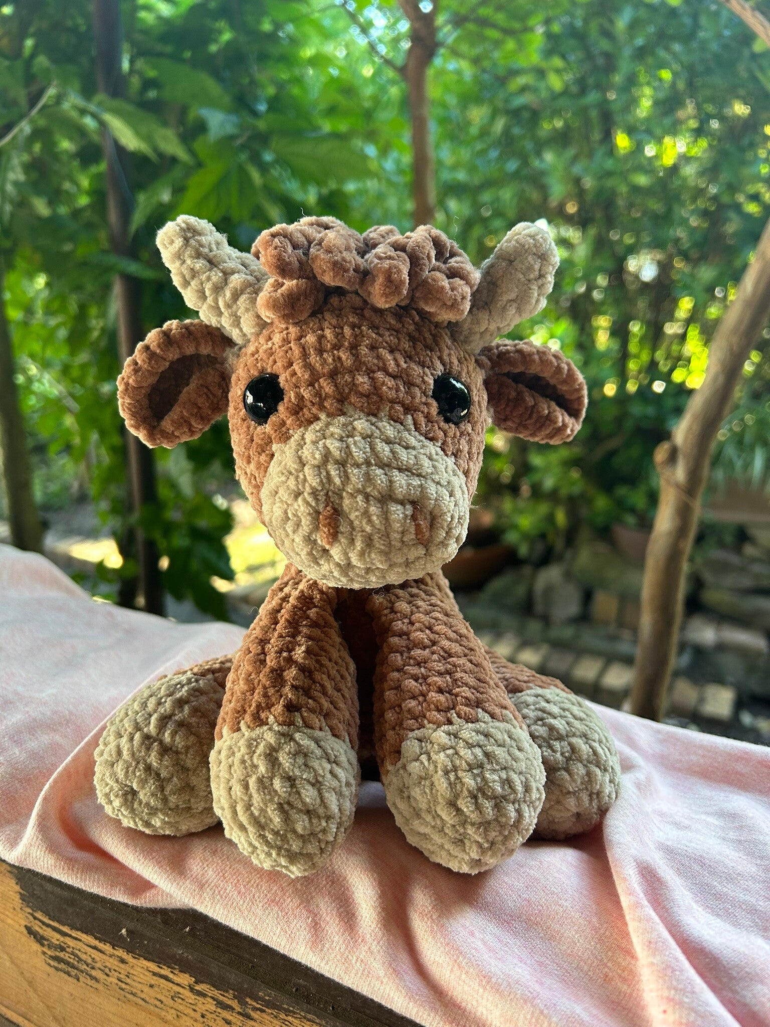 Anton, das Hochlandrind